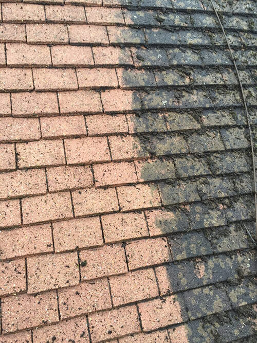 Moss Removal & Roof Cleaning Vancouver | Grime Fighters