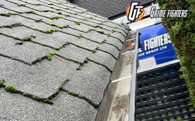 What Property Managers Should Know About Gutter Cleaning?