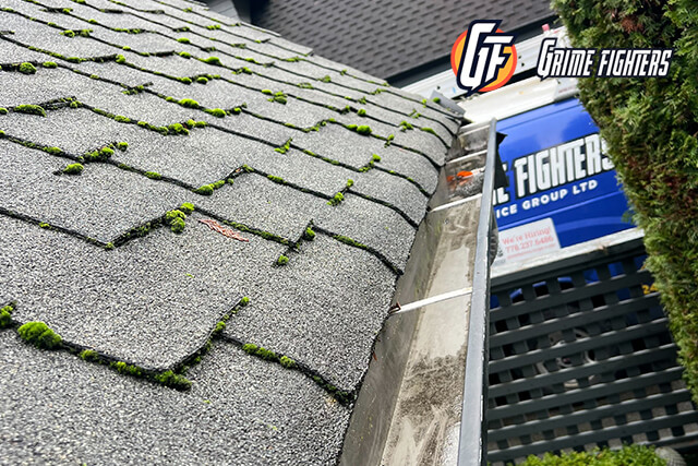 What Property Managers Should Know About Gutter Cleaning?