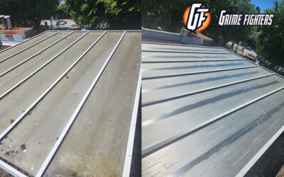 6 Reasons Why You Need Commercial Roof Cleaning
