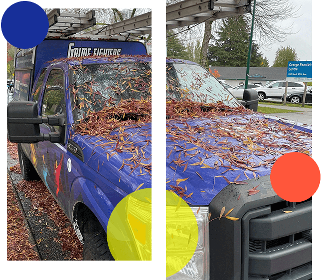 grime-fighters-fall-gutter-cleaning Grime Fighters are Ready for Gutter Cleaning in Richmond