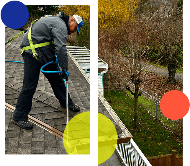About Roof Cleaning in New Westminster | Grime Fighters