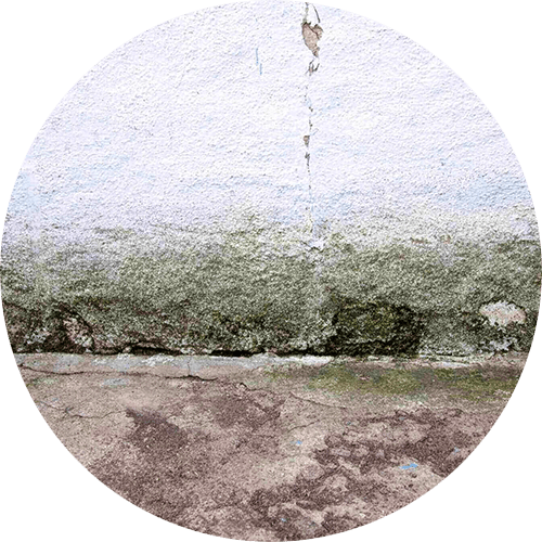 Facade Staining Example - Using LifeCycle360 | Grime Fighters