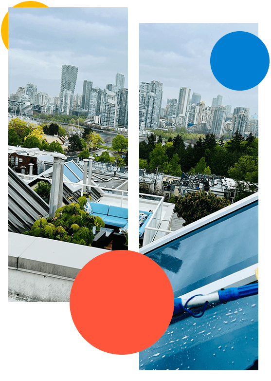 Moss Removal & Roof Cleaning Services Coquitlam | Grime Fighters