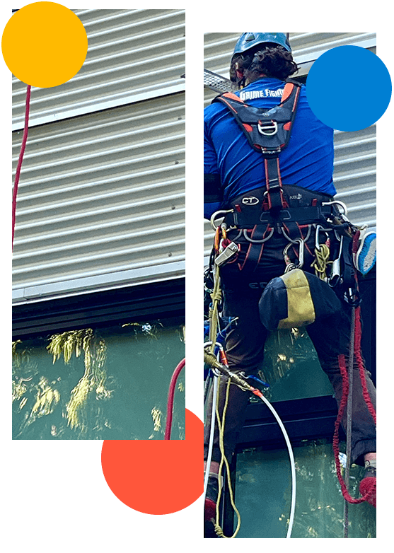 Dryer Vent Cleaning Services in Port Moody | Grime Fighters